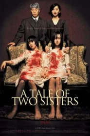 A Tale of Two Sisters 2003 Hindi Dual Audio WEB-DL 720p – 480p – 1080p