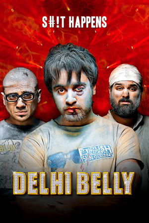 Delhi Belly 2011 Full Movie DVDRip 720p [750MB]
