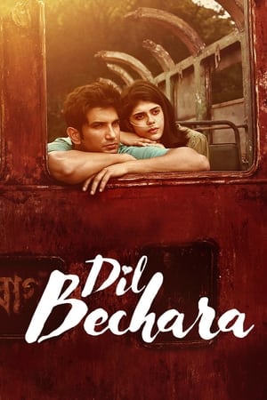 Dil Bechara (2020) Hindi Movie 480p HDRip – [350MB]