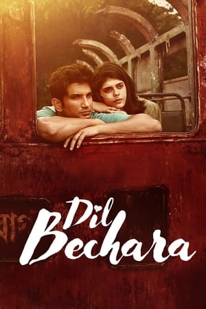 Dil Bechara 2020 Hindi Audio WEB-DL 1080p – 720p – 480p