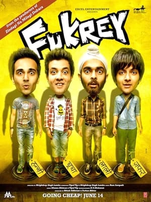 Fukrey (2013) Full Movie Bluray – 1GB