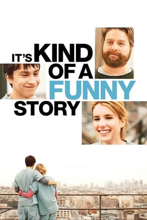 It’s Kind of a Funny Story (2010) Hindi Dual Audio 480p BluRay 330MB ESubs