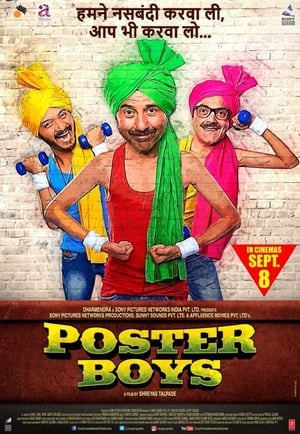 Poster Boys 2017 Movie 720p HDRip – 1.1GB