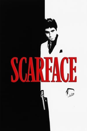 Scarface (1983) Dual Audio Hindi Movie 720p BluRay – 1.4GB