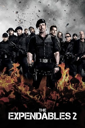 The Expendables 2 (2012) 100mb Hindi Dual Audio movie Hevc BRRip