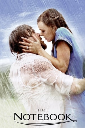 The Notebook 2004 Dual Audio Hindi Full Movie 720p BRRip – 1GB