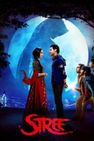 Stree Full Movie in 1080P