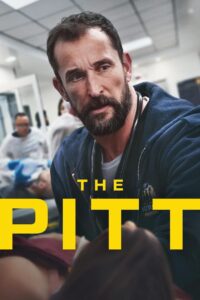 The Pitt (HIndi)