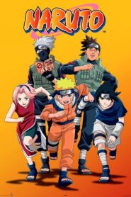 Naruto S1 to S9 Hindi