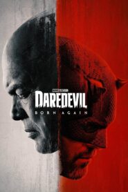 Daredevil: Born Again S1 (Hindi)