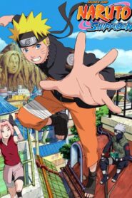 Naruto: Shippuden S1 to S10 (Hindi & English Sub)