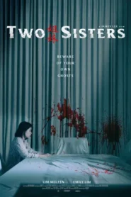 Two Sisters 2019 Hindi Dual Audio WEB-DL 720p – 480p
