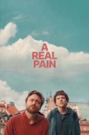A Real Pain 2024 Hindi Subbed CAMRip 1080p