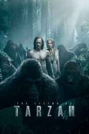 The Legend of Tarzan (Hindi dubbed movie)