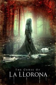 The Curse of La Llorona (Hindi dubbed movie)