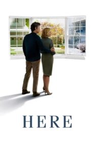 Here 2024 Hindi Subbed CAMRip 1080p