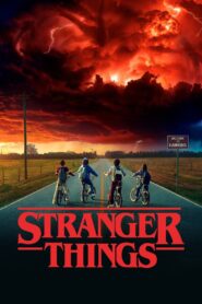 Stranger Things (Season 1,2,3&4) BluRay [Hindi (DD5.1) & English] 1080p 720p & 480p [x264/10Bit-HEVC] | NF Series