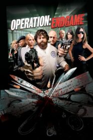 Operation: Endgame (Hindi dubbed movie)
