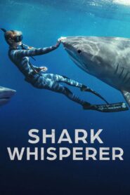 Shark Whisperer 2025 Hindi Dual Audio WEB-DL 720p – 480p – 1080p