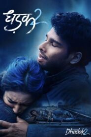 Dhadak 2 2025 Hindi HDTC 720p – 480p – 1080p