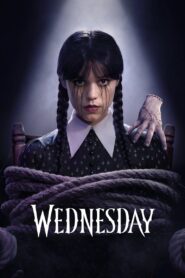 Wednesday Season 1 – Netflix Original (2022) Dual Audio {Hindi-English} 480p | 720p | 1080p WEB-DL