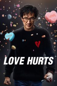 Love Hurts 2025 Hindi Dual Audio WEB-DL 720p – 480p – 1080p
