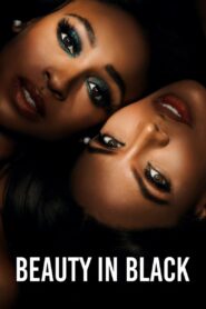 Beauty in Black (Season 2) 2025 [S02 Part 1 Added] NETFLIX Series Dual Audio (Hindi – English) 720p 1080p- WEB-DL