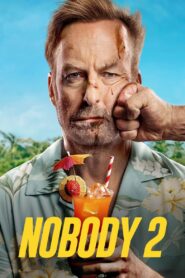 Nobody 2 2025 Hindi Dual Audio WEB-DL 720p – 480p – 1080p