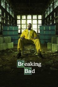 Breaking Bad (Season 1 – 5)Complete Dual Audio [Hindi Dubbed (ORG) – English] 480p | 720p | 1080p WEB-DL