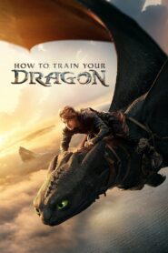 How to Train Your Dragon (2025) WEB-DL [Hindi (DD5.1) & English] 480p 720p 1080p 4k_2160p_SDR Dual Audio [x264/ESubs] | Full Movie