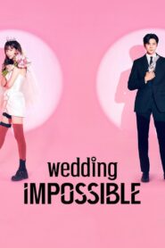 Wedding Impossible (Season 1) 2024 Dual Audio [Hindi – Korean] C-Drama 720p 1080p – WEB-DL