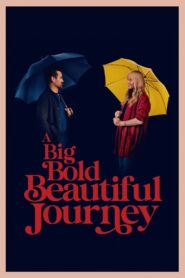A Big Bold Beautiful Journey (2025) WEB-DL [Hindi (DD5.1) & English] 480p 720p 1080p 4k_2160p_SDR Dual Audio [x264/ESubs] | Full Movie