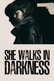 She Walks in Darkness (2025) WEB-DL [Hindi (DD5.1) & English] 480p 720p 1080p Dual Audio [x264/ESubs] | Full Movie